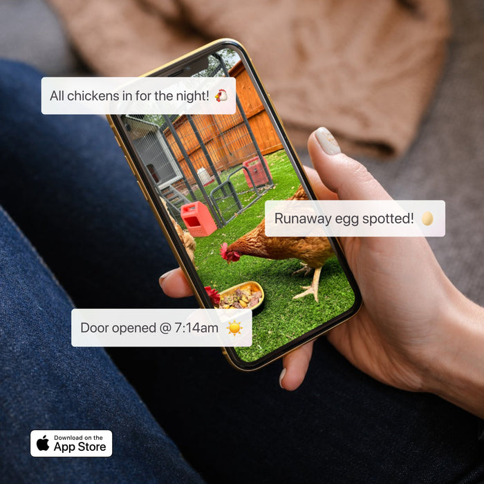 The Smart Coop + Steel Run