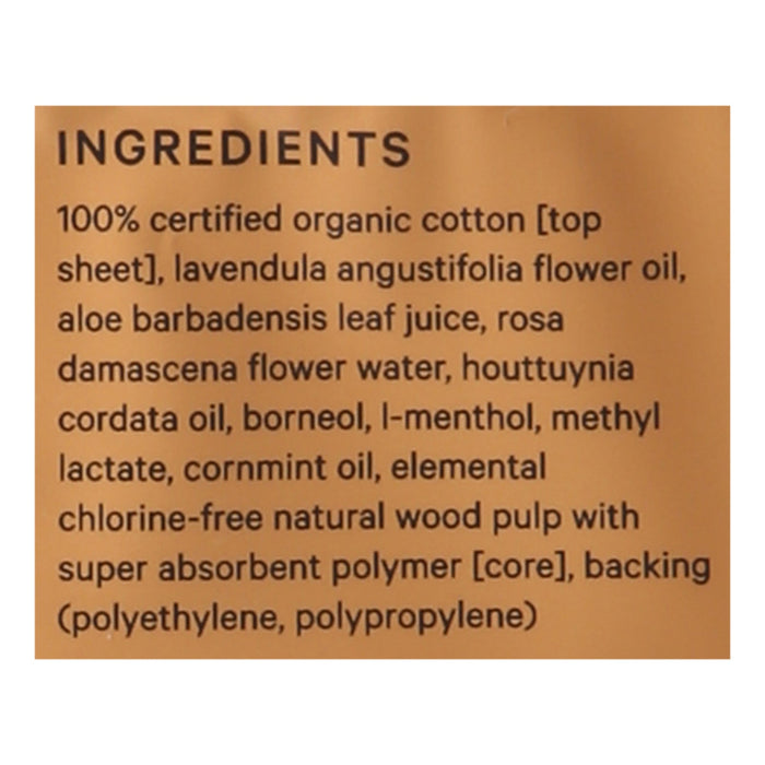 The Honey Pot Herbal Incontinence Pads for Women, Daytime, 16 Count