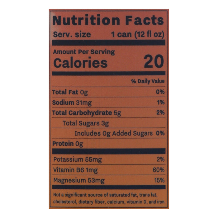 Recess Sparkling Water Grapefruit Tangerine Magnesium - 12 Pack 12 fl oz