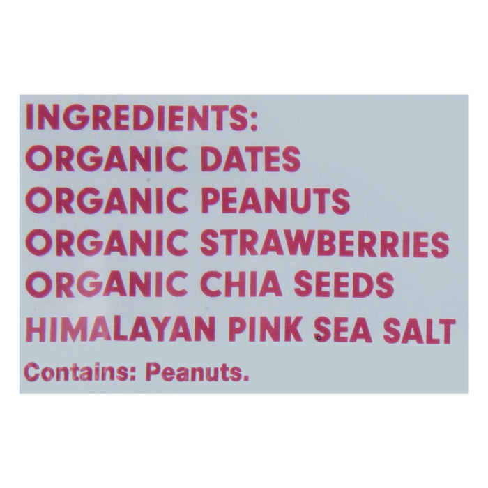 Jonesbar Organic Peanut Butter & Jelly Bar - 1.7 oz - 12 Count