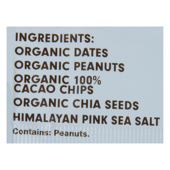 Jonesbar Organic Chocolate Peanut Butter Protein Bar, 12-Pack, 1.7 Oz