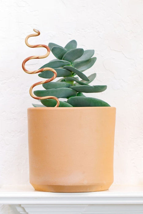 Ceramic Plant Snake Stake
