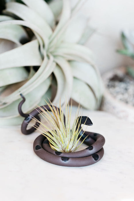 Medium Ceramic Snake