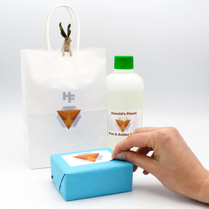 Rectangular Laser Labels - 2" x 3": 250/Pack, 25 Sheets