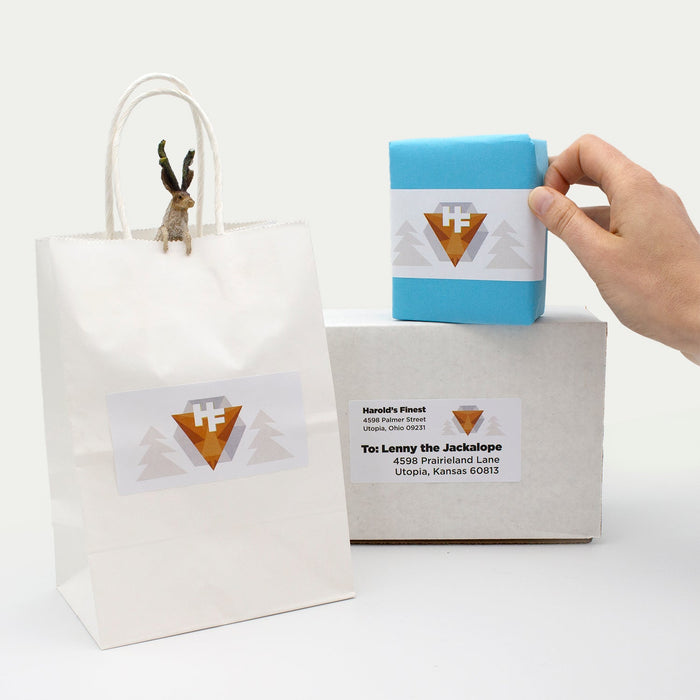 Rectangle Laser Labels - 2" x 4": 250/Pack, 25 Sheets