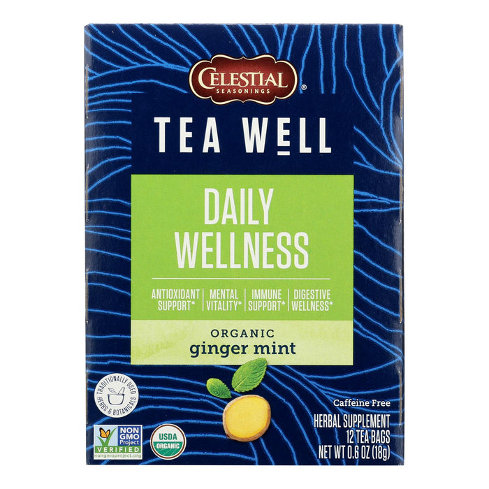 Teawell Ginger Mint Tea, 12 Count (Pack of 6)
