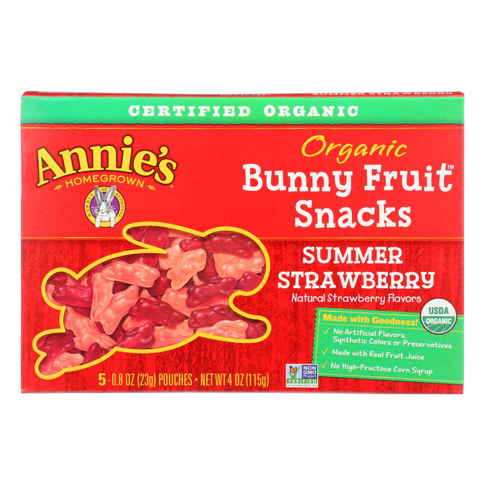 Annie's Homegrown Sun-Ripened Summer Strawberry Fruit Snacks (10 Pack, 4 Oz. Each)