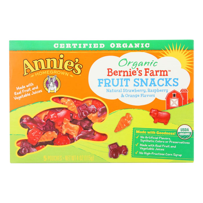 Annie's Delightful Multipack Fruit Snack: 10-Pack of Wholesome Goodness