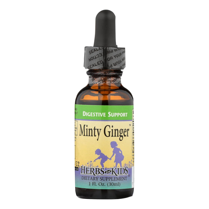 Herbs For Kids Minty Gingr - 1 Fluid Ounce Liquid