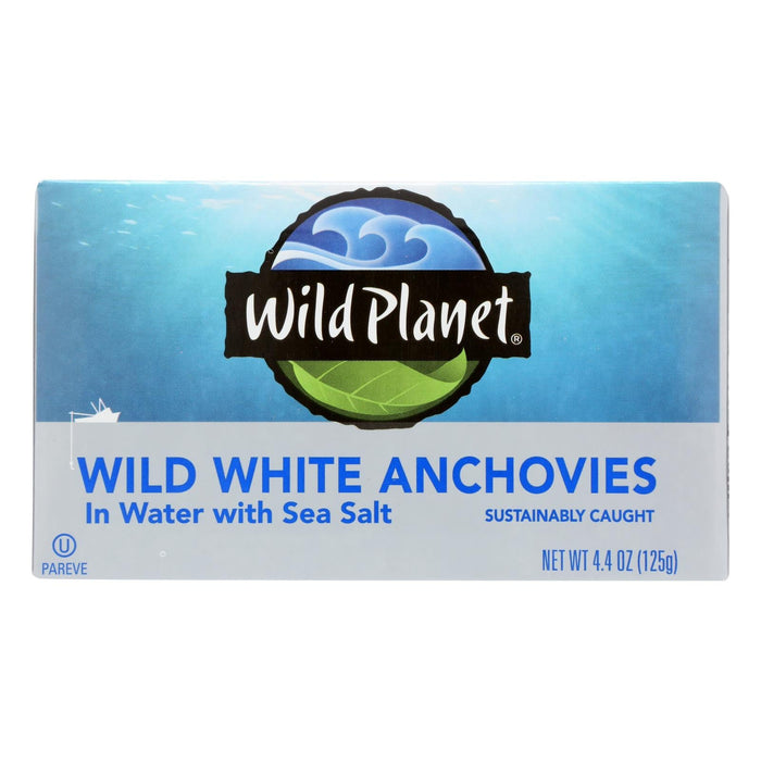 Wild Planet White Anchovies in Water - Sustainable Seafood (4.4 oz, Pack of 12)