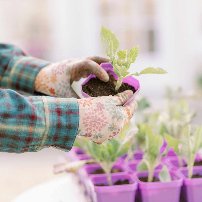 3.3" Heavy Duty Seed Starting Pots