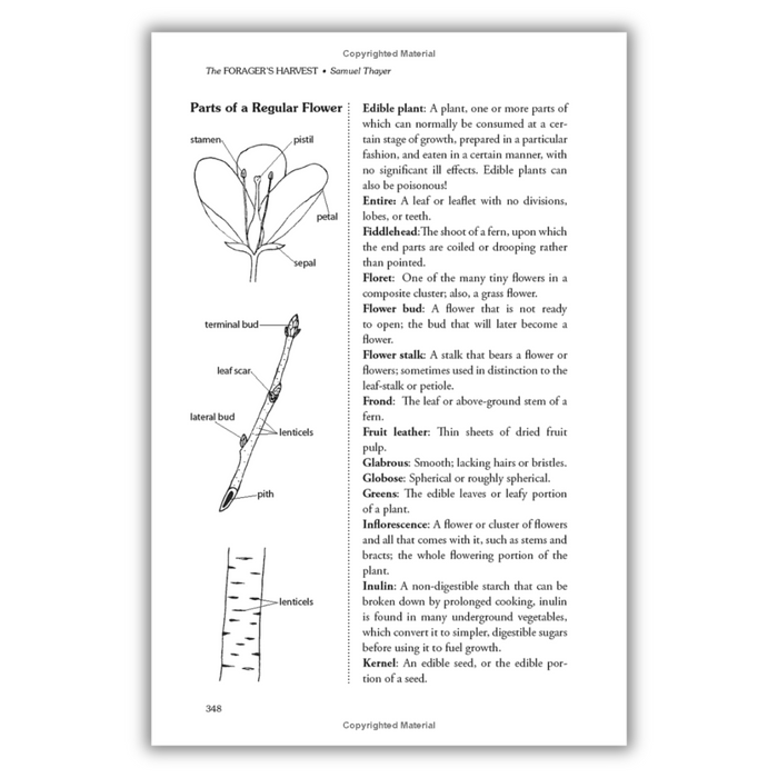 The Forager's Harvest: A Guide to Identifying, Harvesting, and Preparing Edible Wild Plants (Spiral Bound)