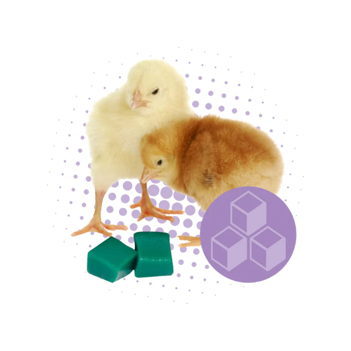 GroGel Chick Hydration