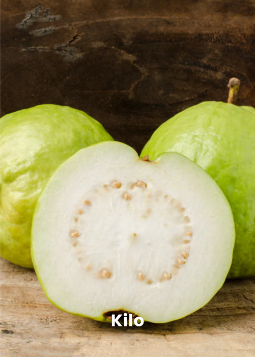 XL Guava Bundle: 'Ruby Supreme' & 'Kilo' Guava Trees