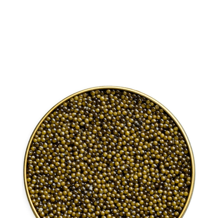 Caviar - Osetra Reserve 500 g (17.6 oz)