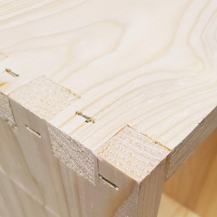 5-Frame Complete, Medium 6 5/8-inch Box with Frames and Foundation