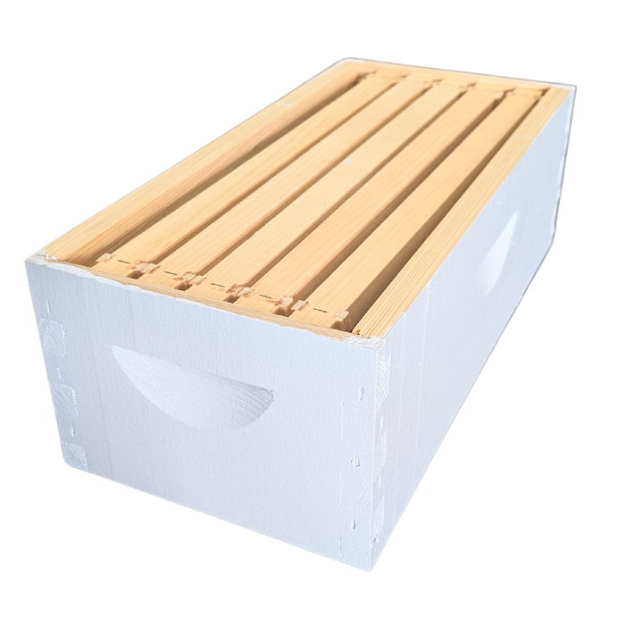 5-Frame Complete, Medium 6 5/8-inch Box with Frames and Foundation