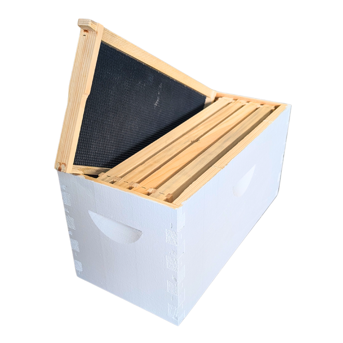 5-Frame Complete, Deep 9 5/8-inch Box with Frames and Foundation