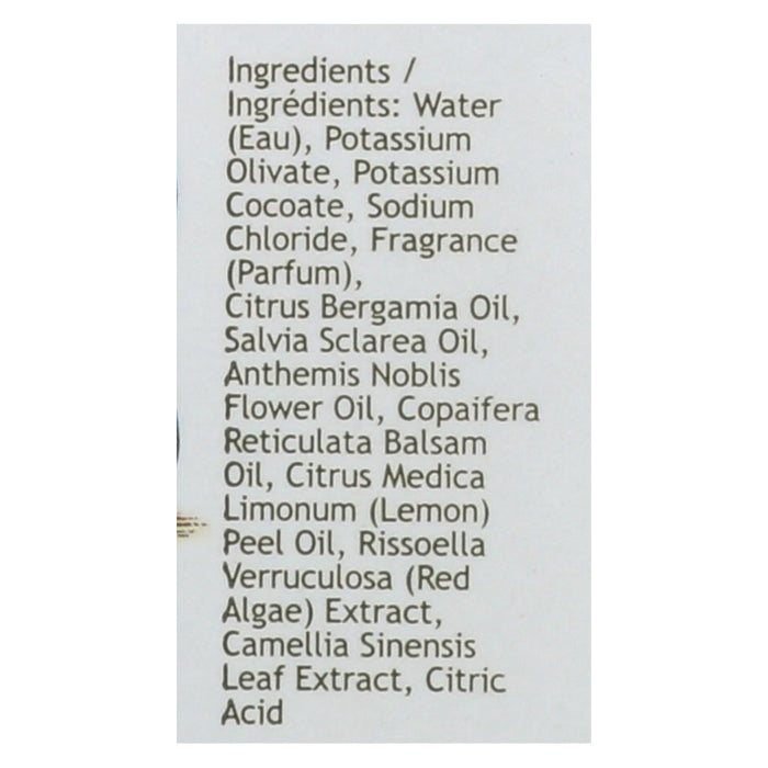 South of France Green Tea Hand Wash (8 Oz)