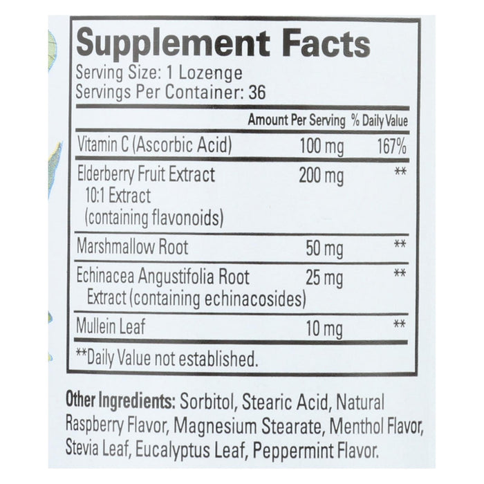 Quantum Elderberry Immune Support Lozenges (36 CT)