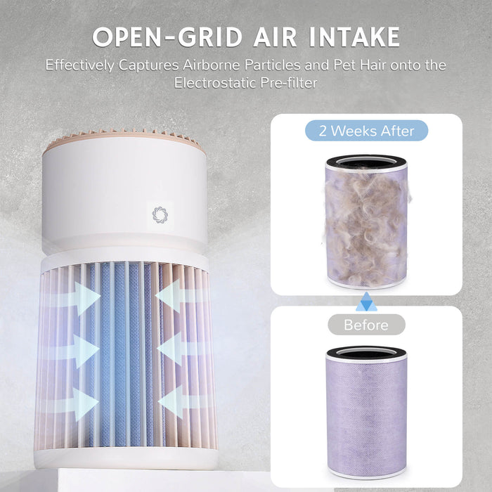 Glory Days AGH400 Pet Air Purifier - European version