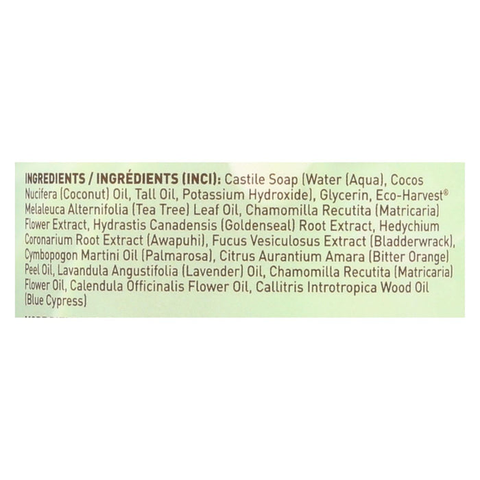 Desert Essence Thoroughly Clean Face Wash for Oily and Combination Skin, 32 fl oz