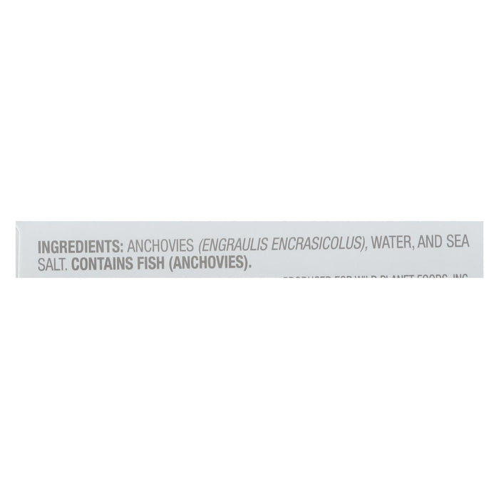 Wild Planet White Anchovies in Water - Sustainable Seafood (4.4 oz, Pack of 12)