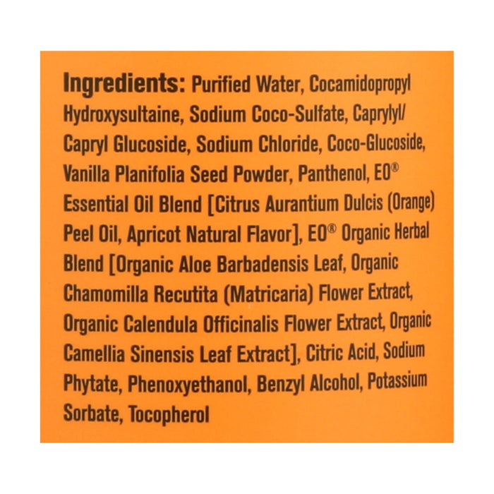 Everyone Apricot and Vanilla Liquid Hand Soap, 12.75 Oz.