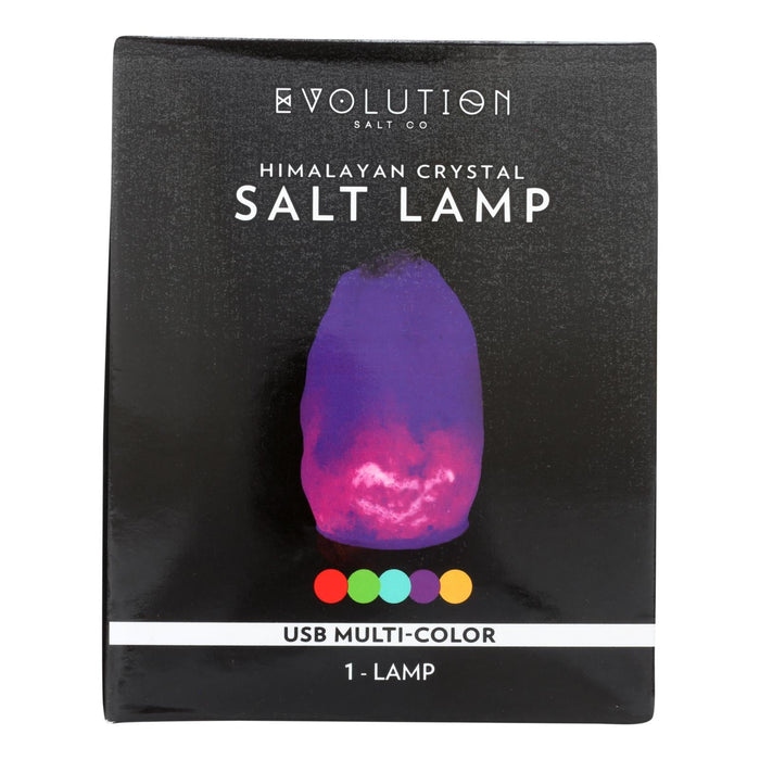Evolution Salt Lamp  - USB Natural Multi-Color Changing