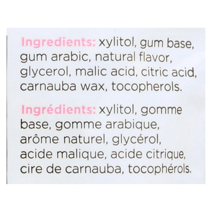 Pur Gum - Pack of 12 Bubble Gum, 77g