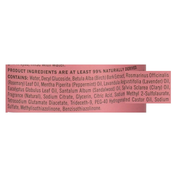 Mrs. Meyer's Clean Day Rosemary Multi-Surface Everyday Cleaner, 16 Fl Oz (Pack of 6)