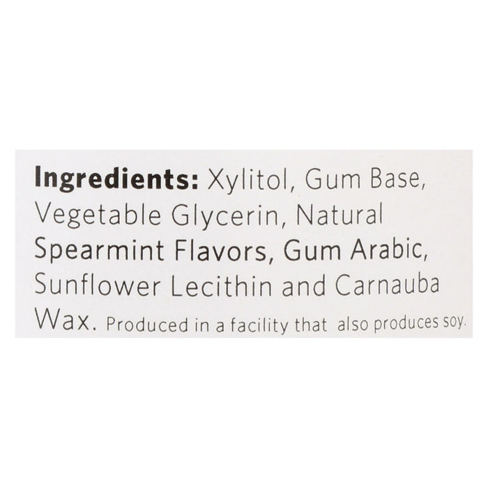 Xylichew Sugar-Free Spearmint Chewing Gum (240 Pieces, Pack of 4)