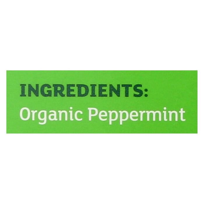 Equal Exchange Organic Peppermint Tea | 6-Pack of 20 Tea Bags