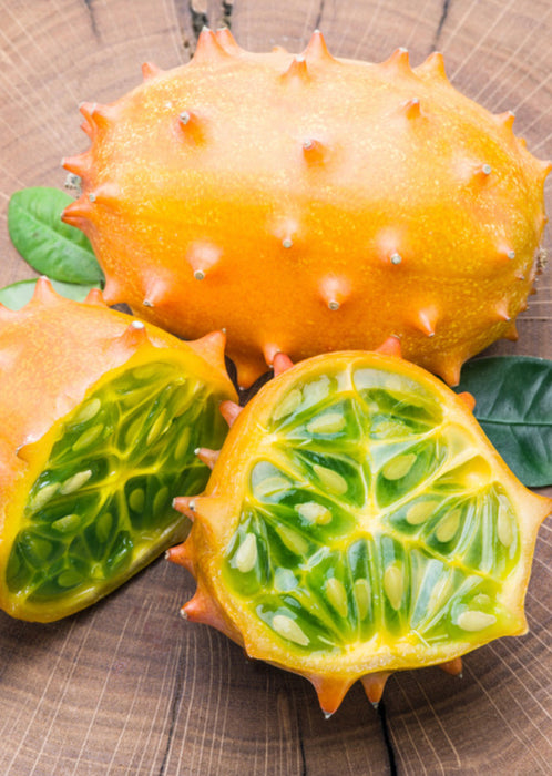 Kiwano, Orange (Cucumis metuliferus)