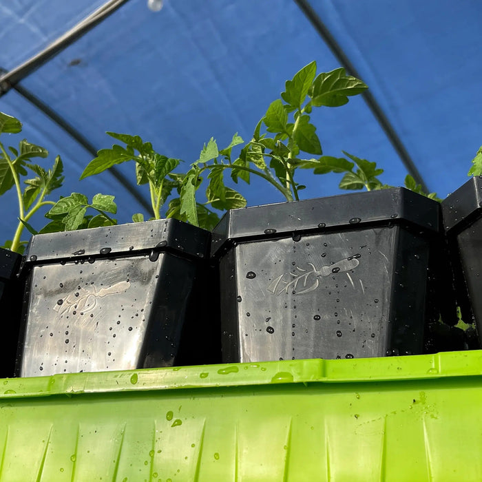 5" Reusable Seed Starting Pots with Insert