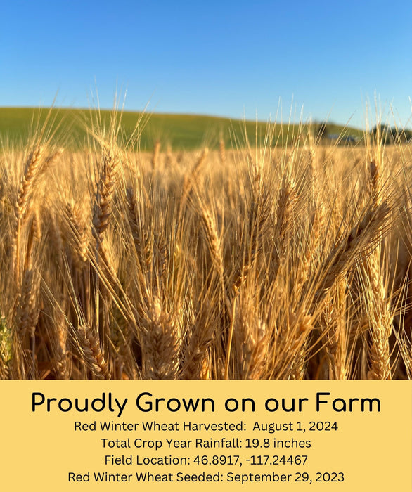 Hard Red Winter Wheat Bundle | 100 LB | Certified Glyphosate Residue Free