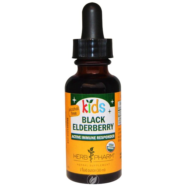Herb Pharm Kids Black Elderberry Glycerite - Immune Support - 1 Fl Oz