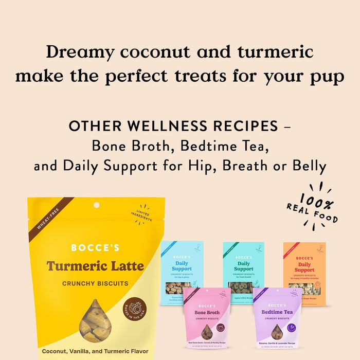 Bocce's Bakery Turmeric Latte Dog Treats, 5oz, Pack of 12 – Soft, Wheat-Free, Made in USA