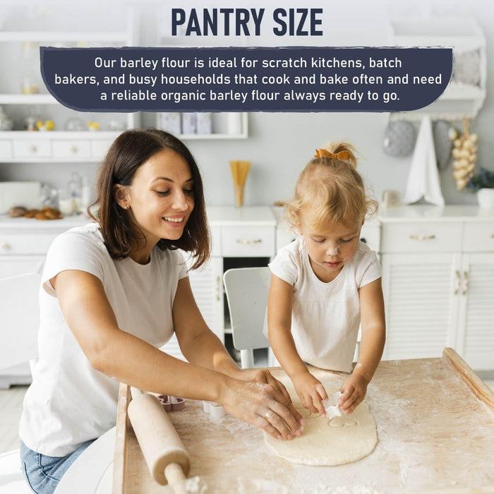 Organic Barley Flour