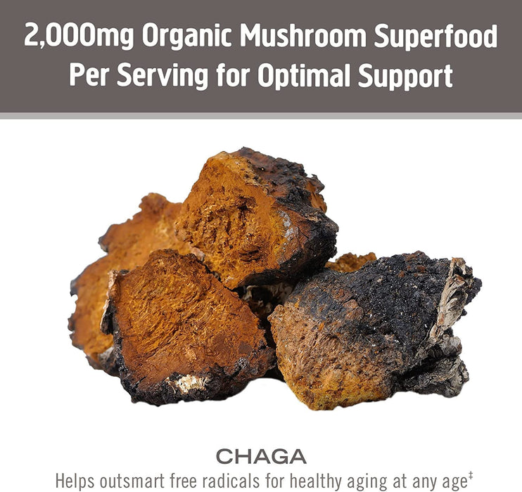 Om Mushroom Superfood Chaga Organic Mushroom Powder, 3.5 Ounce