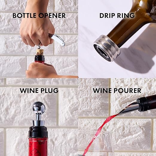 Painted STEMMLESS Wine Glass Box Set - Opener, Stopper, drip Ring, Wine Pourer - 2 Glasses