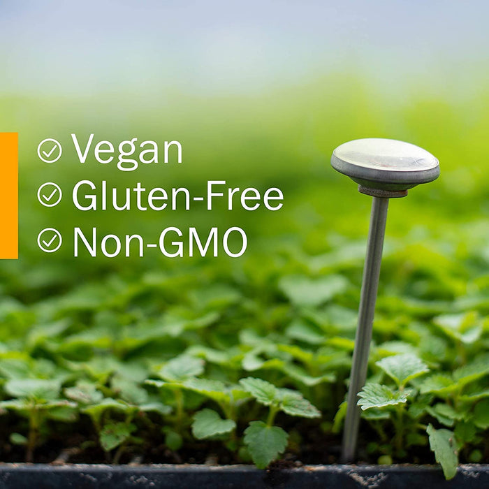 Herb Pharm Mullein-Garlic Oil with Calendula and St. John's Wort - Ear Health Support - 1 Fl Oz