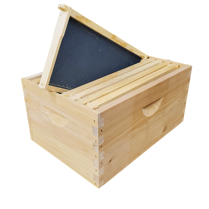 8-Frame Completed, Deep 9 5/8-inch Box with Frames and Foundation