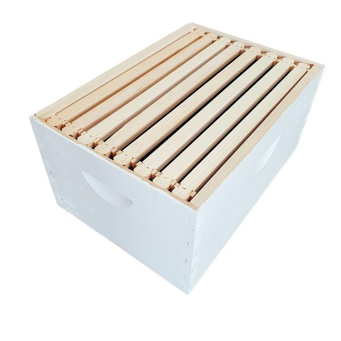 8-Frame Completed, Deep 9 5/8-inch Box with Frames and Foundation