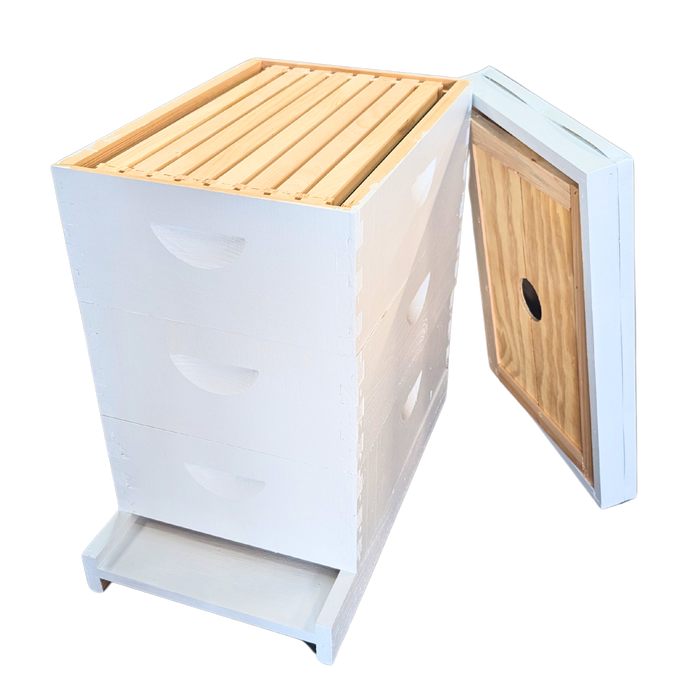 8-Frame All-Medium Box Hive Kit
