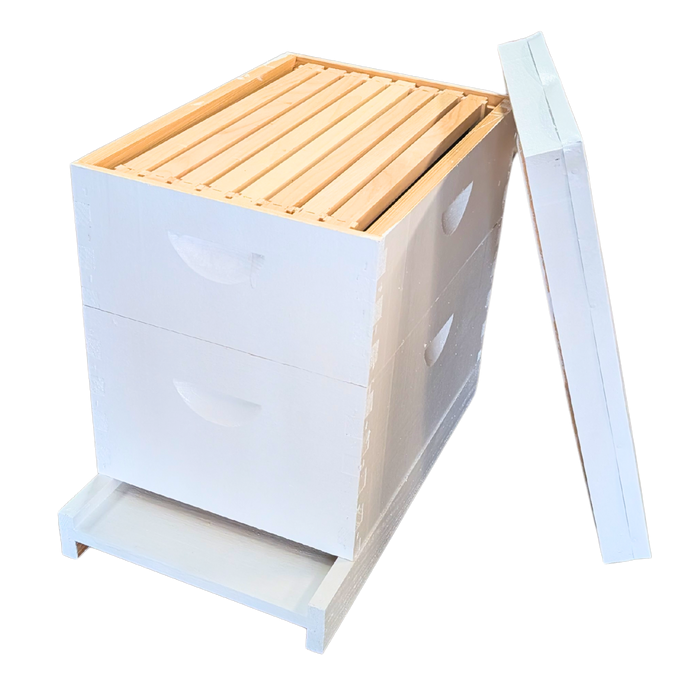 8-Frame Deep and Medium Box Hive Kit