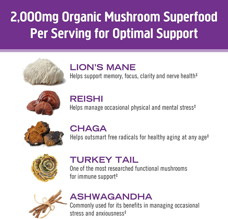Om Mushroom Superfood Hot Chocolate Blend | Single Serve | 10 Count | Lion's Mane, Reishi, Chaga, Turkey Tail