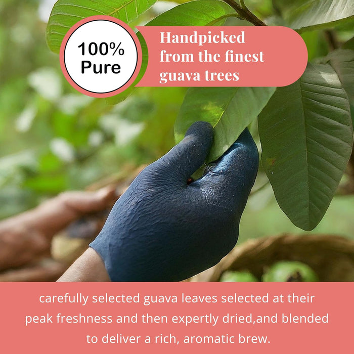 Akshit Dried Guava Leaves 100% Natural , ( Hojas De Guayaba ) | Loose Tea, Non-GMO, Vegan, Gluten-Free | Support Digestive and Immune Health  2.5 oz