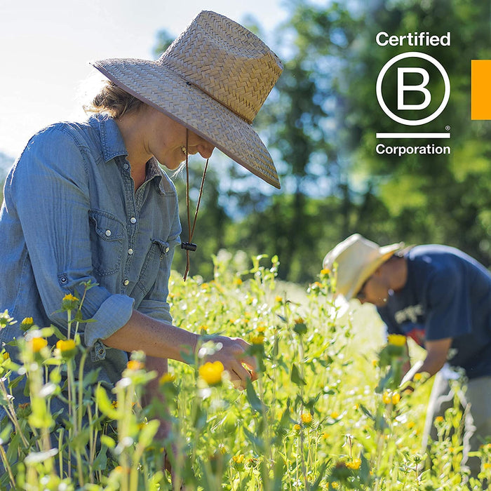 Herb Pharm Mullein-Garlic Oil with Calendula and St. John's Wort - Ear Health Support - 1 Fl Oz