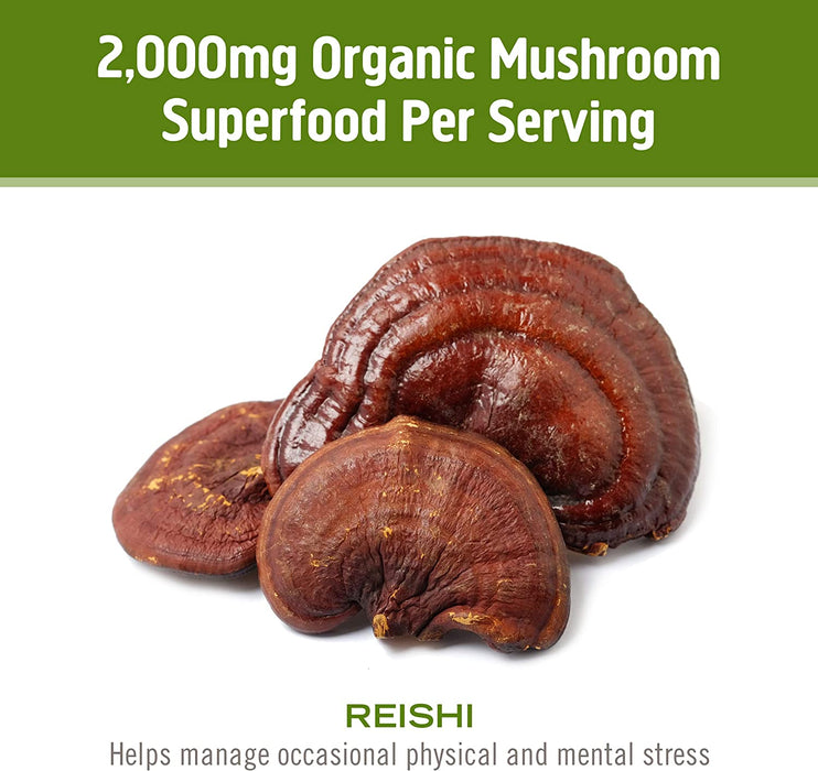 Om Mushroom Superfood Reishi Organic Mushroom Powder, 3.5 Ounce